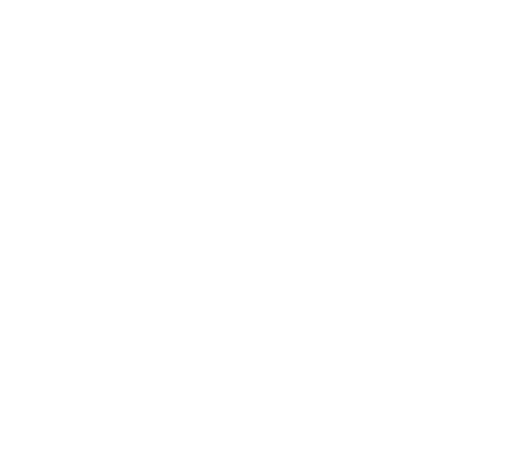 Instagram Trap the Festival Logo